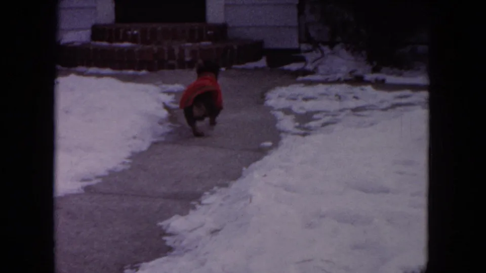 The dachshund in a red sweater trots away from the camera along the snow-bordered sidewalk in this 1964 Evanston home-movie frame.