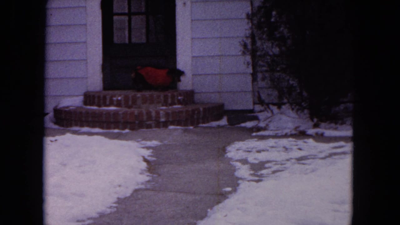 Black dog in a red sweater near brick steps beside a snowy sidewalk.