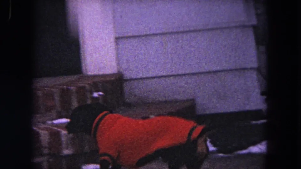 The dachshund reaches the house area, with light siding and porch details visible in the 1964 Evanston frame.