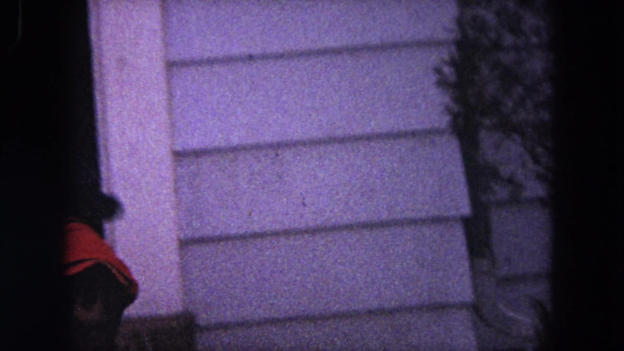Small dark dog in an orange sweater near a white-sided doorway at night.