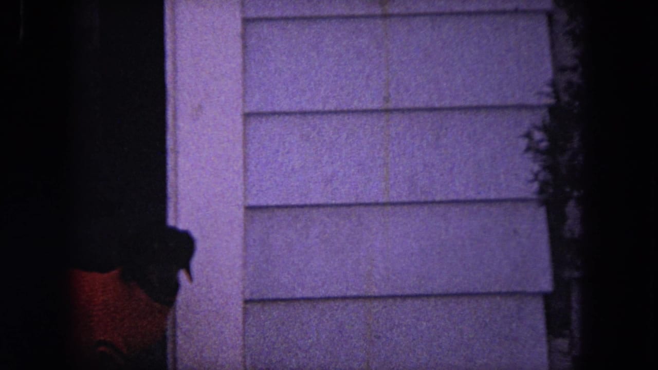 Dark dog partly visible beside light horizontal house siding at night.