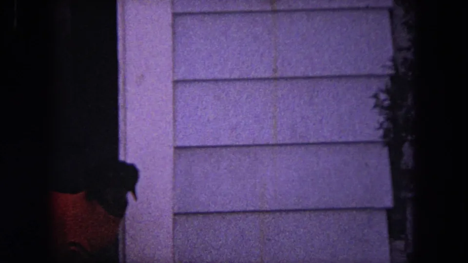 In Evanston, Illinois home-movie footage from 1964, a dark dog with reddish-brown body stands partly in shadow beside light house siding.