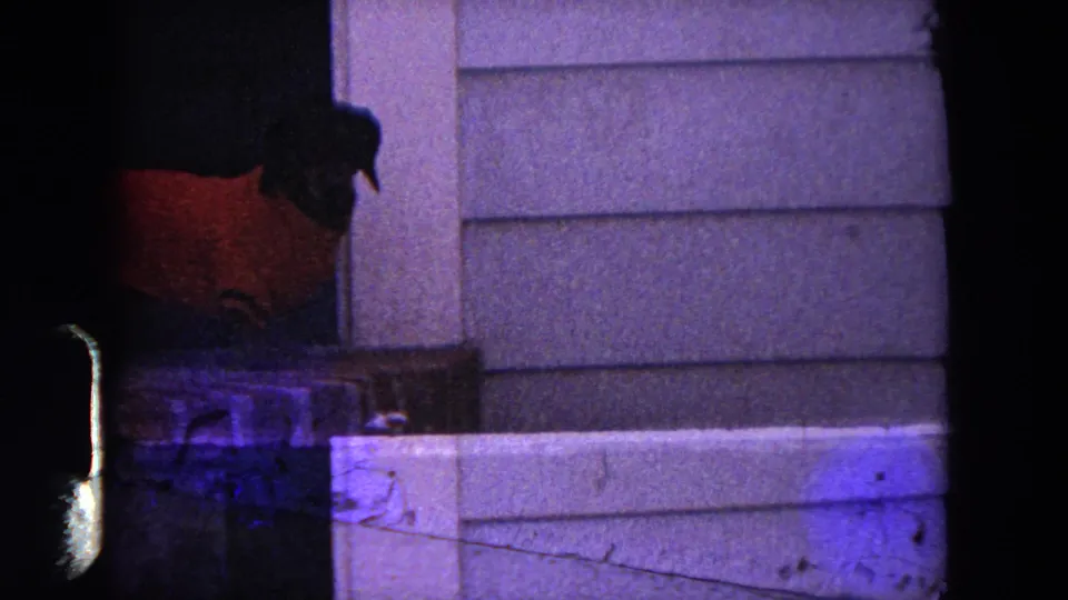 1964 Evanston 8mm frame showing a dog in a shadowed porch area near light horizontal siding and a pale porch rail or ledge.
