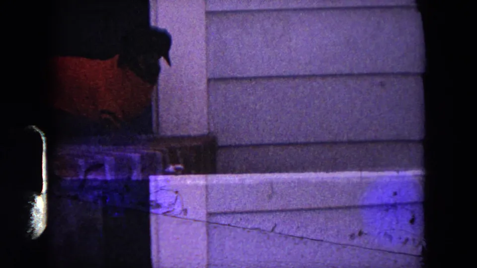 A grainy 1964 Evanston home-movie frame shows the dog partly obscured by darkness near a porch ledge and light siding.