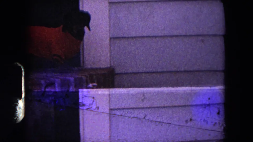The final 1964 Evanston frame keeps the dog in a dark porch opening beside light siding, with visible grain and purple-blue color shift.