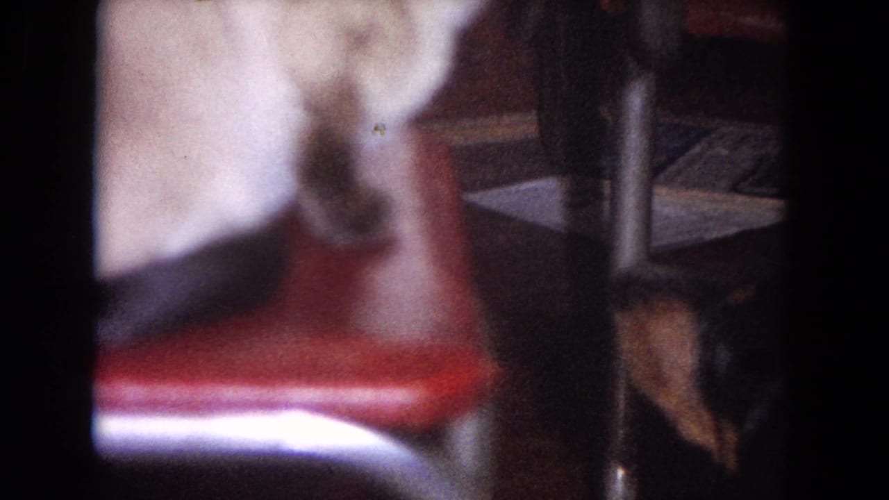 White cat close to a red chair with a metal leg in a dim interior.