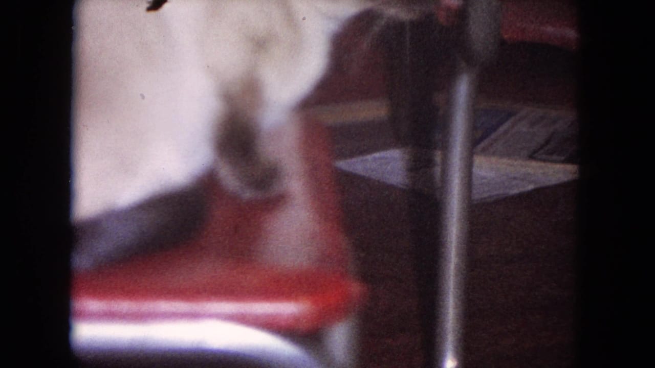 Blurred white cat beside a red chair and metal furniture leg.