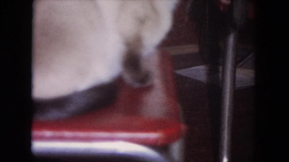 Final 1964 Evanston frame showing a blurred white cat beside a red chair, with a metal leg and dark interior surroundings.