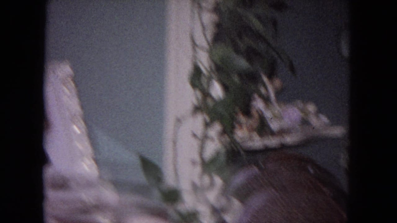 Soft interior view with a houseplant, serving tray, and blurred foreground object.