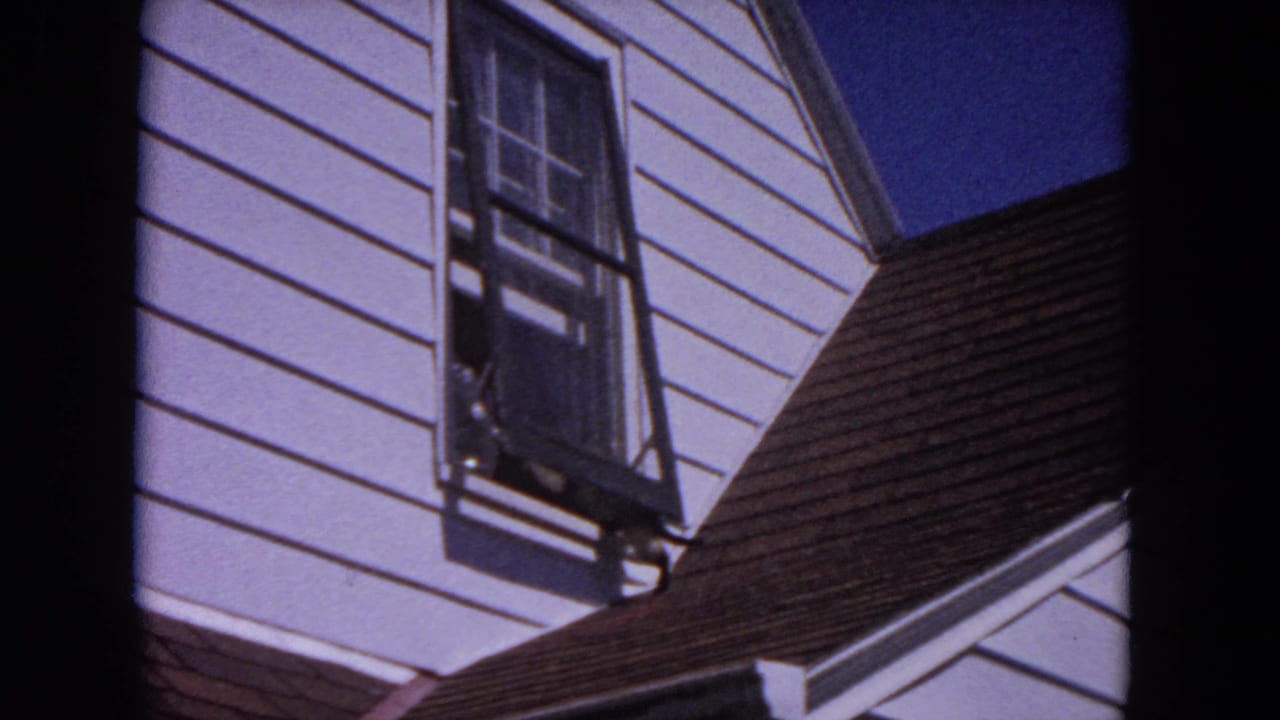 The cat pauses near the roof edge beneath an open window in the Evanston residential exterior scene.