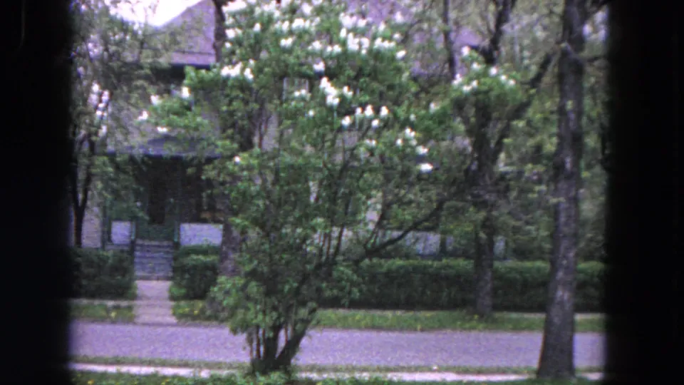 1964 Evanston home-movie view of a leafy street near the station, with trees, hedges, sidewalk, and a house partially visible.