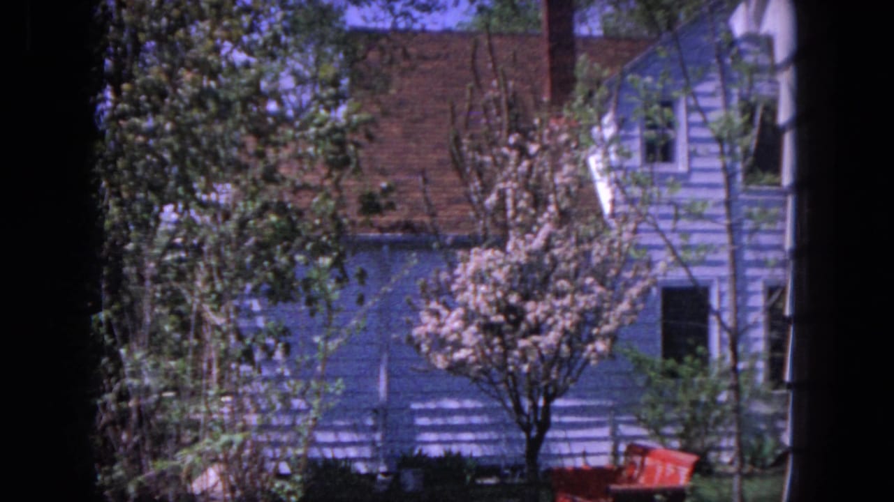 Blue-sided house with white trim, brick chimney, trees, and a flowering tree in the yard.
