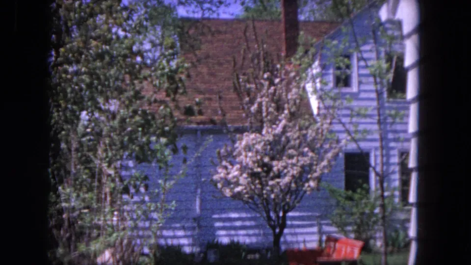 1964 Evanston residential view with blue siding, a brick chimney, white trim, a blooming tree, and dense spring foliage.