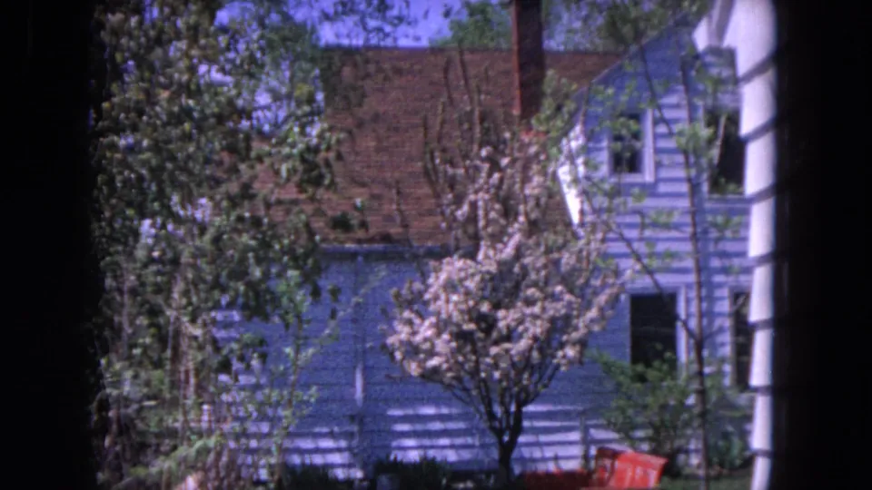 1964 Evanston house exterior with blue siding, chimney, spring blossoms, leafy branches, and a red yard object at frame edge.