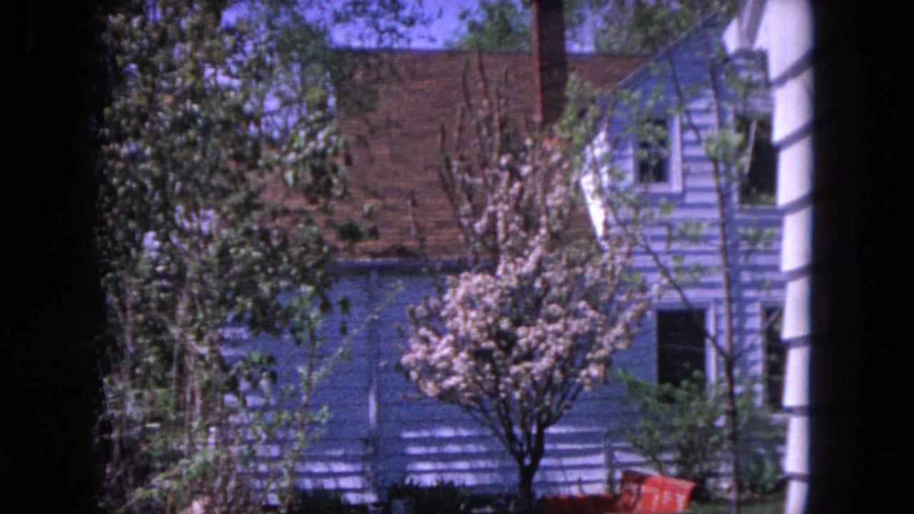 Blue house and flowering yard tree seen through a dark window frame.