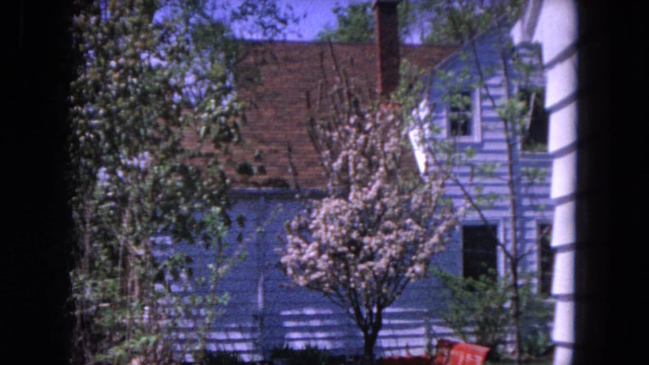 Blue house, trees, and flowering yard tree behind a dark vertical frame.