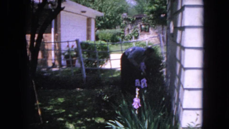1964 Evanston home-movie frame showing a person tending flowers near a garden bed beside house siding and shrubs.