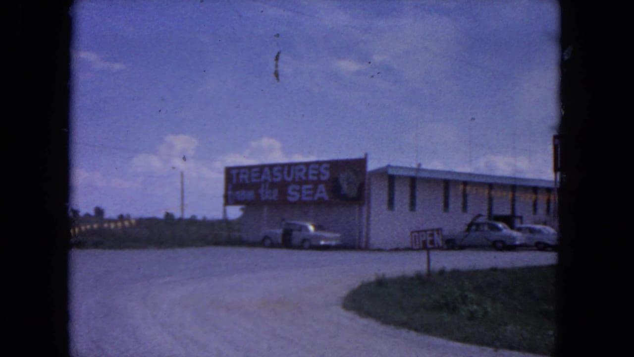 Roadside building with Treasures from the Sea sign, parked cars, driveway, grass, and blue sky.