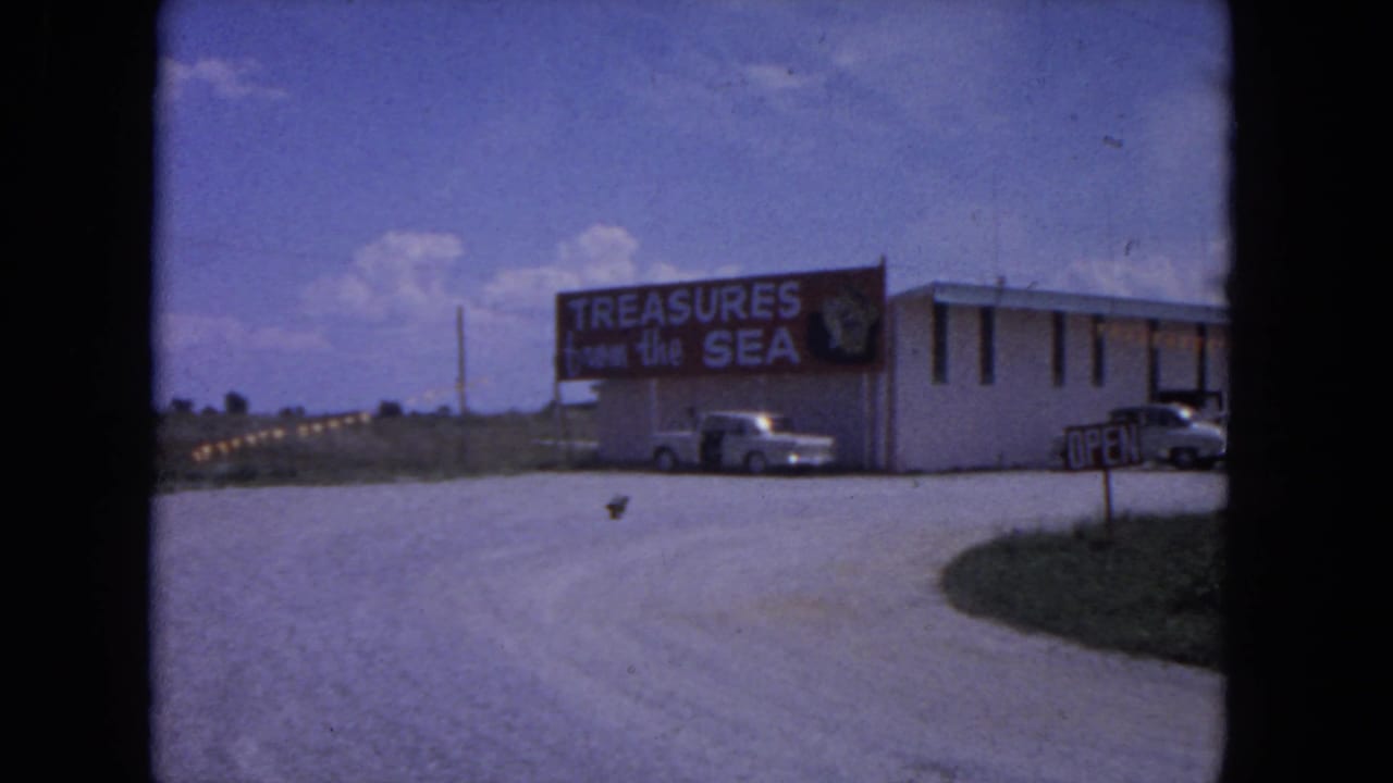 Gift shop exterior with sign reading Treasures from the Sea and cars by the building.