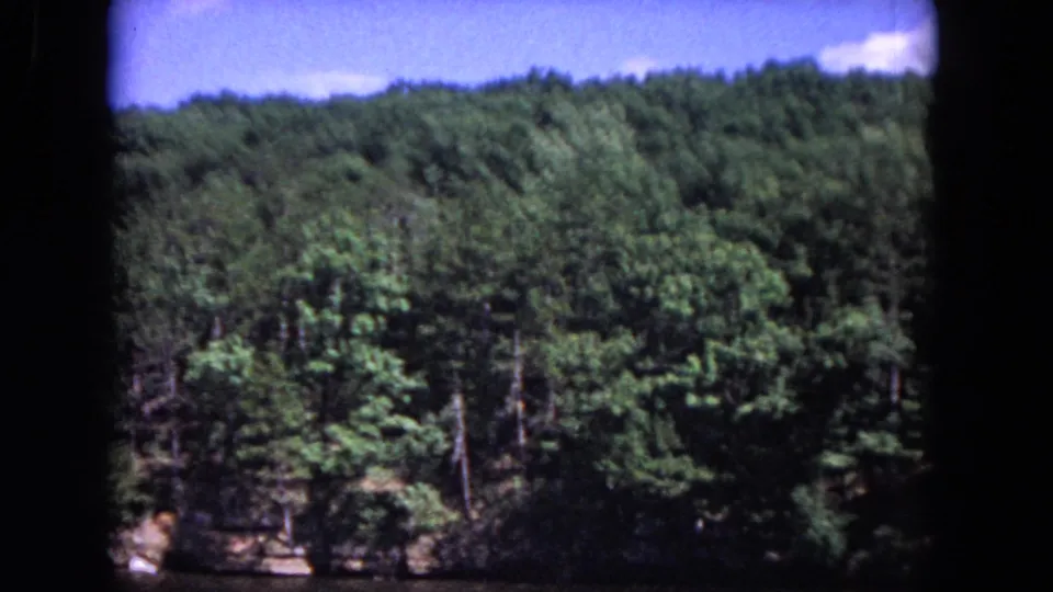 1964 8mm home-movie frame showing dense green trees and blue sky in the Evanston, Illinois clip context.