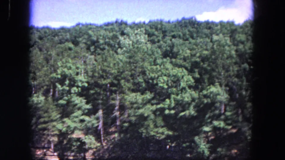 Color 8mm frame from the 1964 Evanston, Illinois clip, with a wooded slope and bright sky visible through film gate edges.