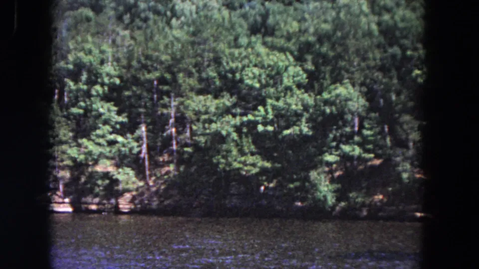1964 8mm home-movie view of green trees along a river or lake shoreline in the Evanston, Illinois clip metadata context.