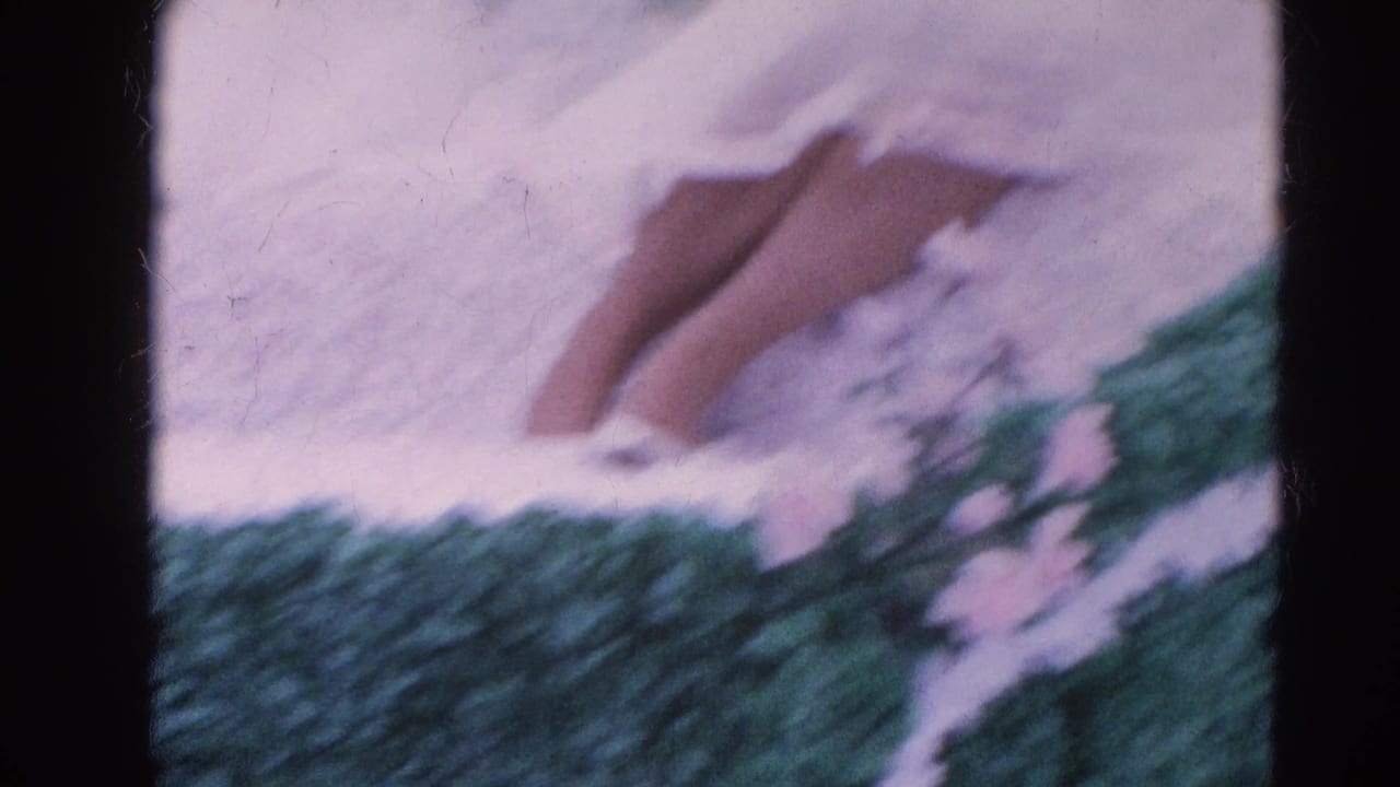 A close, blurred view of a white dress and green float trim fills the frame.