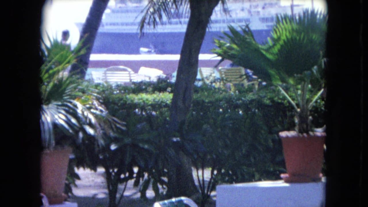 Tropical garden and patio chairs with a cruise ship behind dark window-like framing.
