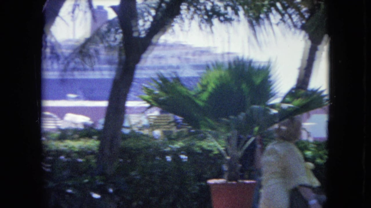 Woman in light clothing walks near palms and potted plants with a ship visible behind the waterfront.