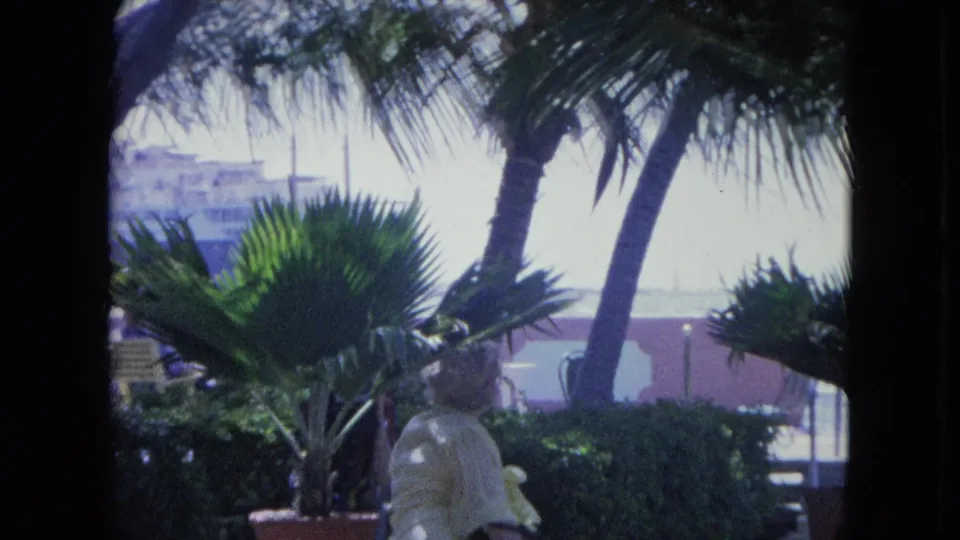 1964 Kingston, Jamaica waterfront garden seen from indoors, with windblown palms, potted plants, and a woman near the terrace.