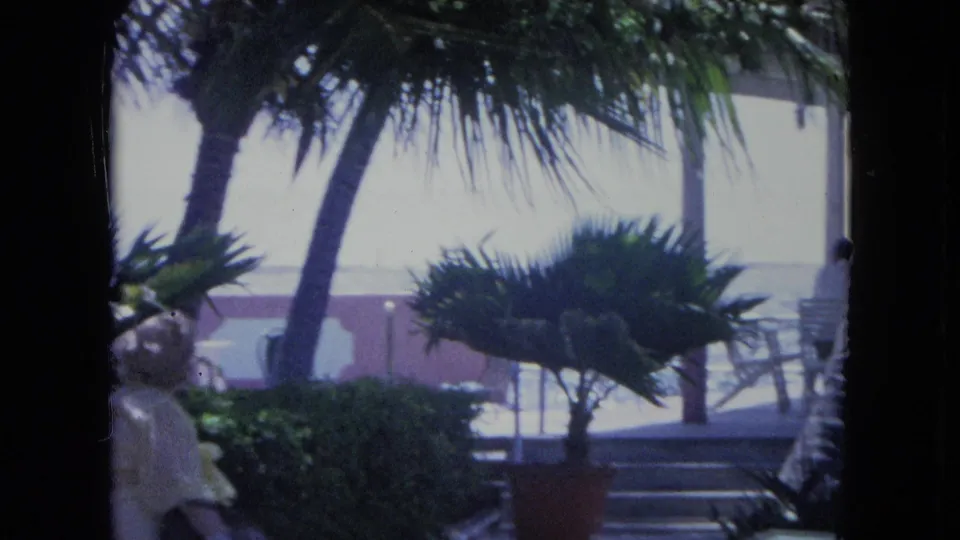 1964 Kingston, Jamaica terrace view with palms and potted foliage in front, steps to the right, and a distant person near the harbor rail.