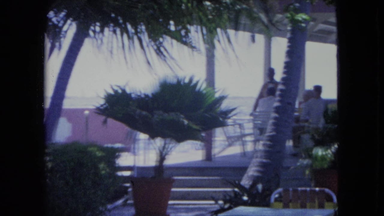 1964 Kingston home-movie frame showing wind-blurred palms, potted plants, steps, patio chairs, and people under a pavilion.