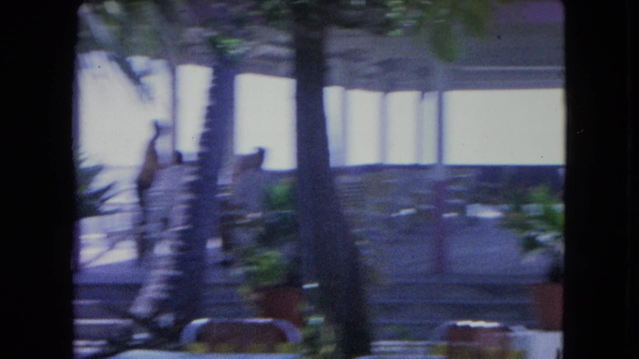 Wind-blurred palm trunks stand before a shaded pavilion with people and chairs.