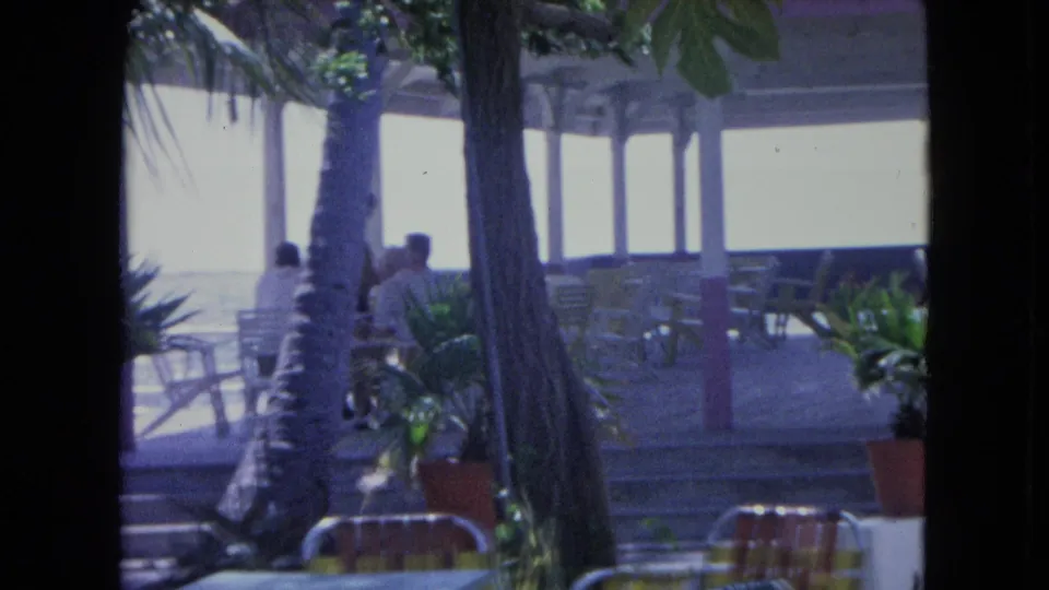 1964 Kingston frame with palm trunks, potted plants, patio seating, and people gathered beneath a shaded pavilion near a bright waterfront-like view.