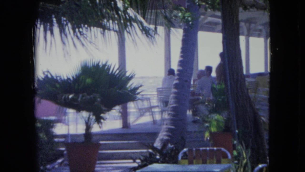 1964 Kingston, Jamaica home-movie frame looking through a dark opening toward palms, patio steps, chairs, and people in light clothing.