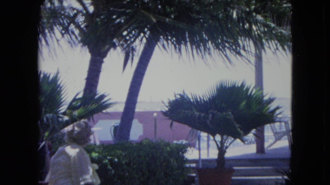 A Kingston tropical resort view from 1964 shows palms, hedges, patio railings, and a partially visible person near the garden.