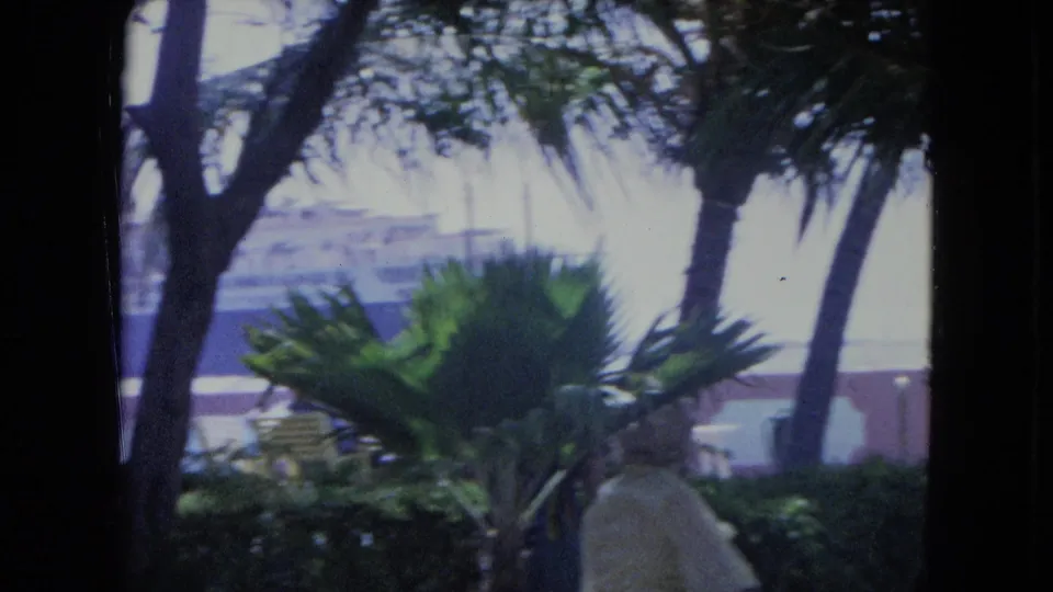 1964 Kingston home-movie view past palms and hedges toward patio furniture, steps, and a bright distant waterfront or sky haze.