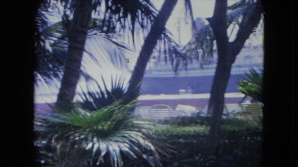 A 1964 Kingston resort garden frame with palm trunks, fan palms, hedges, railings, and patio chairs under bright hazy light.