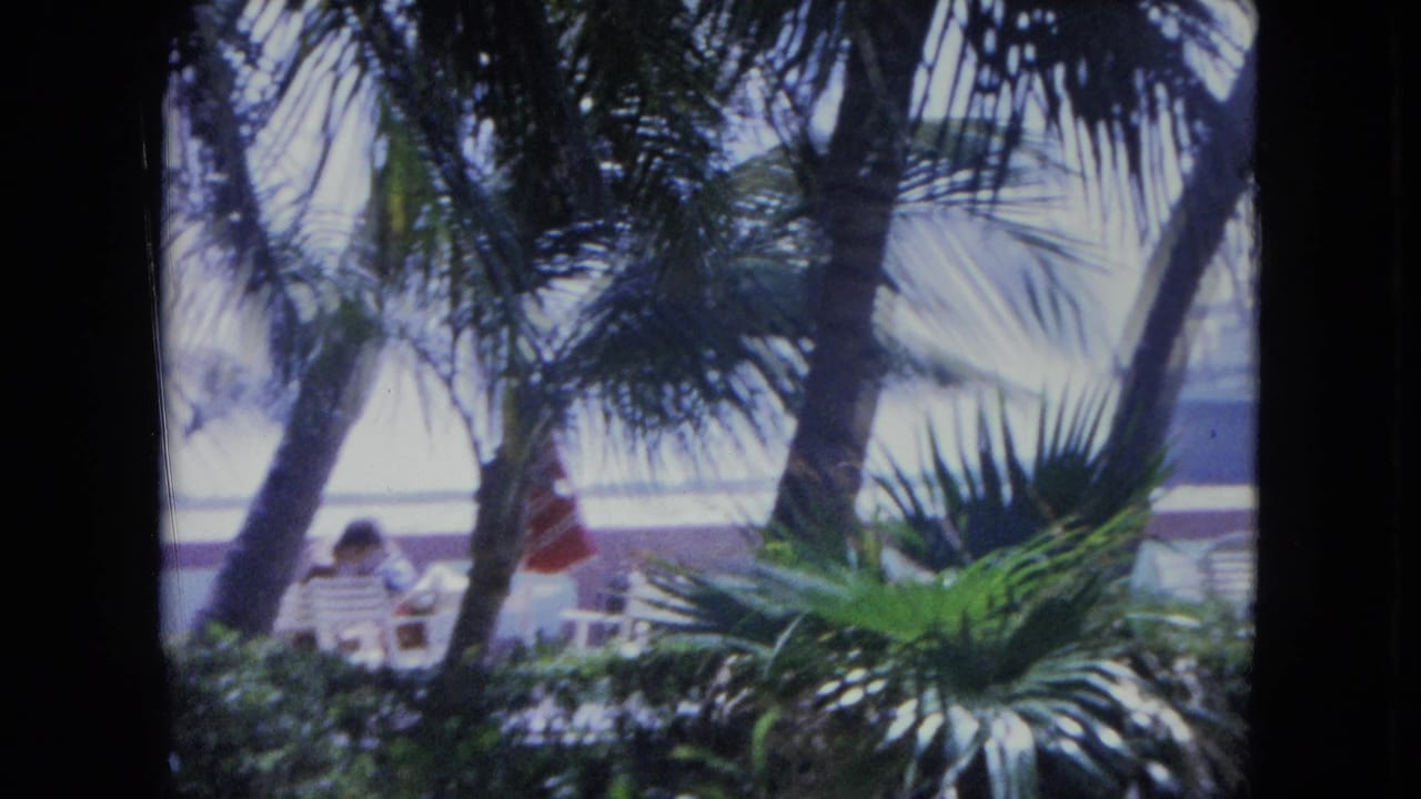 Palm trees and foliage frame a patio with small distant seated figures.