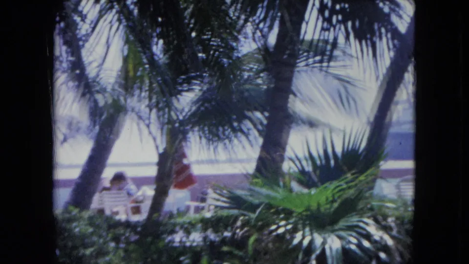 1964 Kingston, Jamaica 8mm frame with palm trunks, fronds, and a sunlit patio where people sit in the distance.