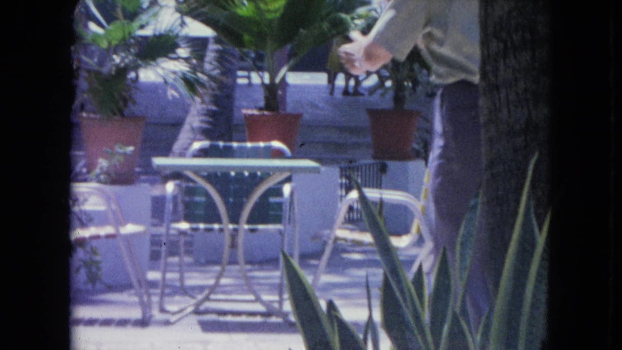 In 1964 Kingston, Jamaica, a man and woman dance on an outdoor patio framed by potted plants and mid-century metal furniture.