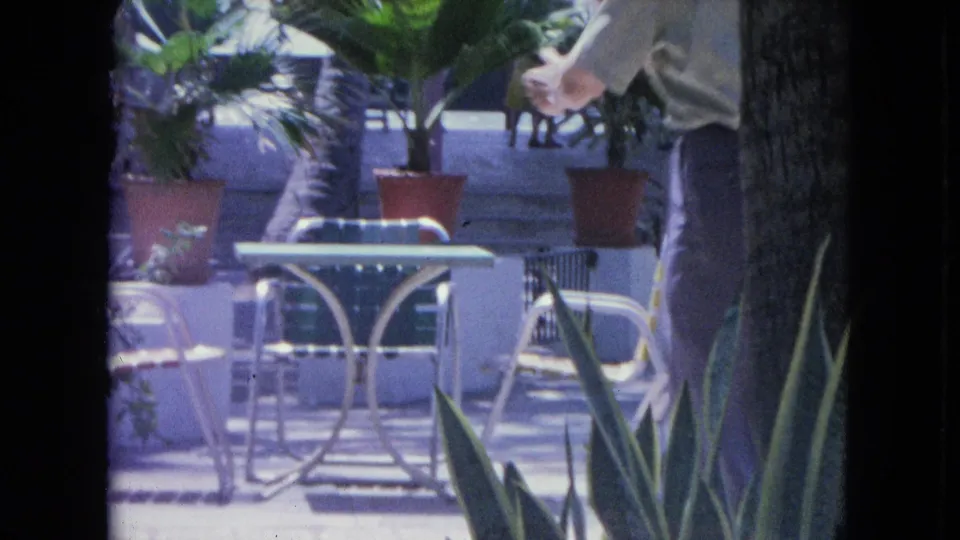 In 1964 Kingston, Jamaica, a man and woman dance on an outdoor patio framed by potted plants and mid-century metal furniture.