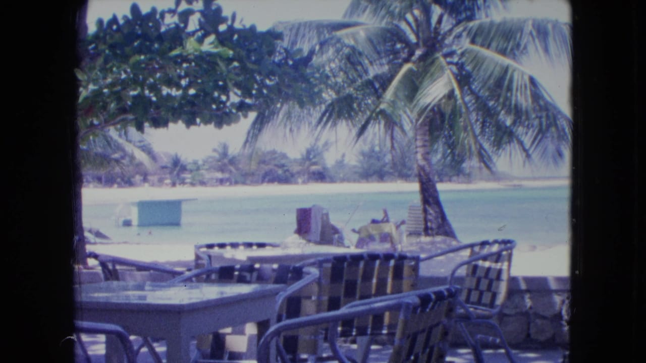 Patio furniture sits in shade with palm trees, beach, and calm water beyond.