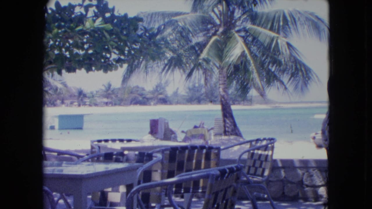 Palm-lined beach and lagoon are seen past patio chairs and a low stone wall.