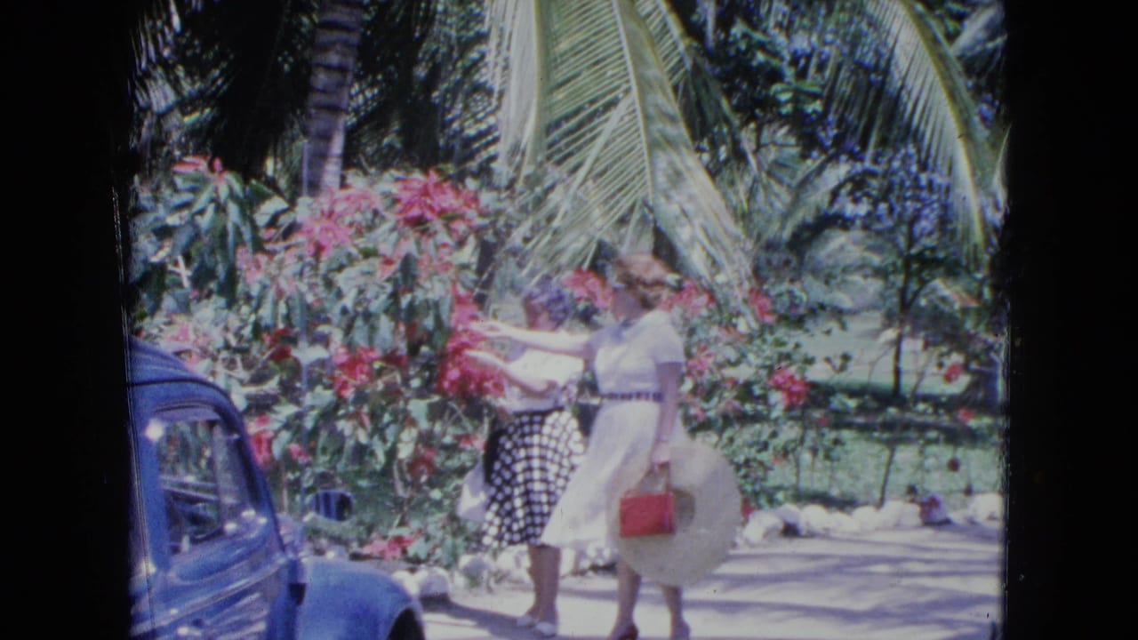 Two adult women in a Kingston, Jamaica garden in 1964 stand near bright pink flowers, palm foliage, and a blue car.