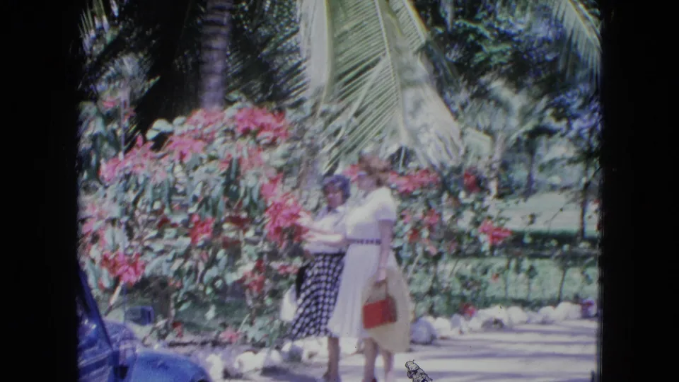 Two adult women in a tropical Kingston garden pause beside flowering shrubs, with palm foliage and a partial blue car visible.