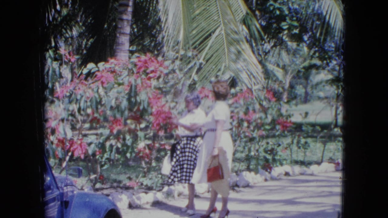 Two women stand on a sunny garden path beside pink flowers and palm fronds.