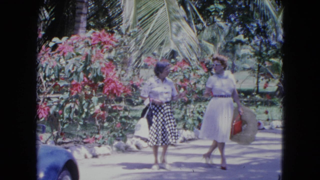 Two adult women walk on a sunlit tropical path beside red flowers and palm fronds.