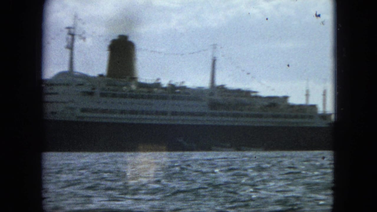 Large passenger ship seen across rippled water under a pale sky.