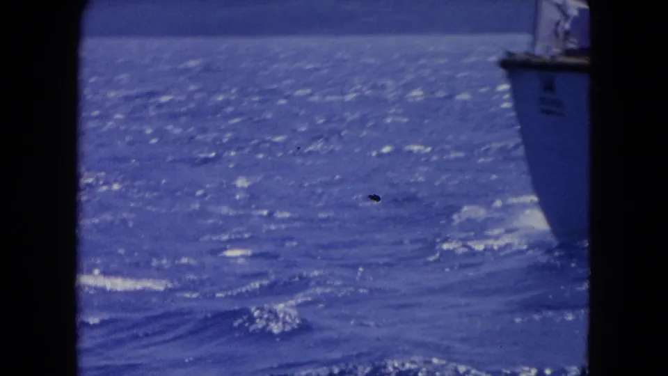 1964 Montego Bay 8mm footage showing sunlit blue water and a partially visible white boat at the edge of the frame.